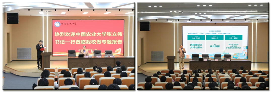未标题-3.png