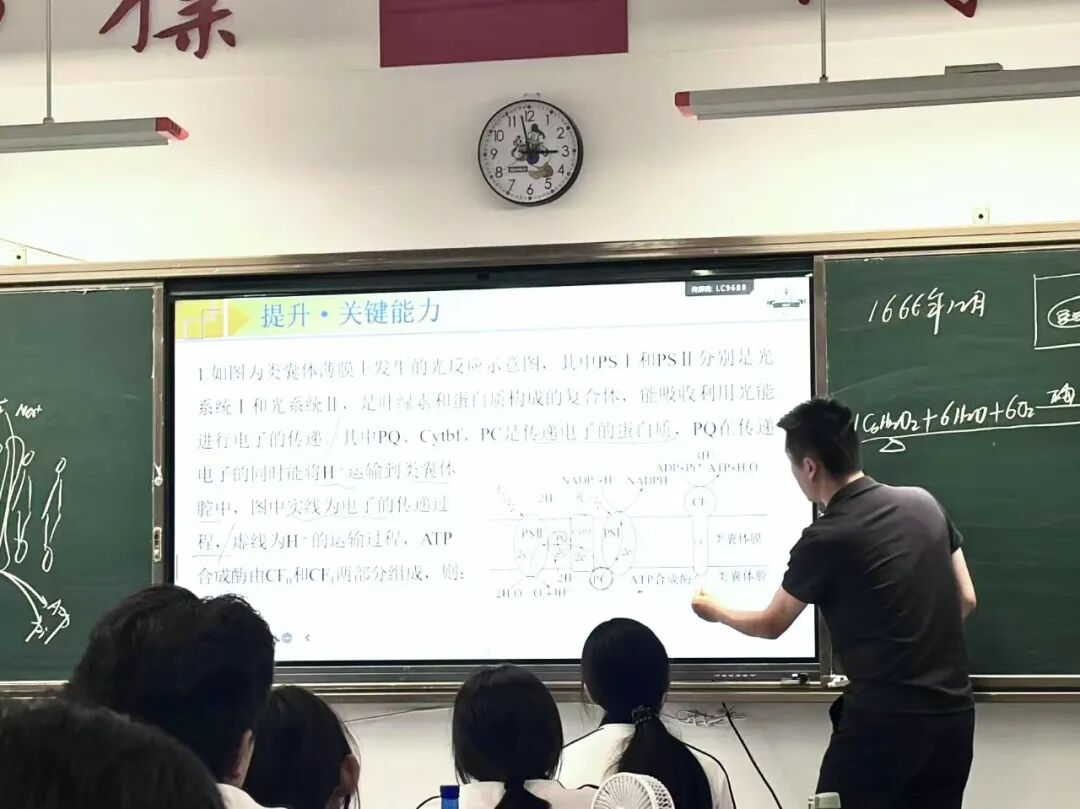 undefined 图片